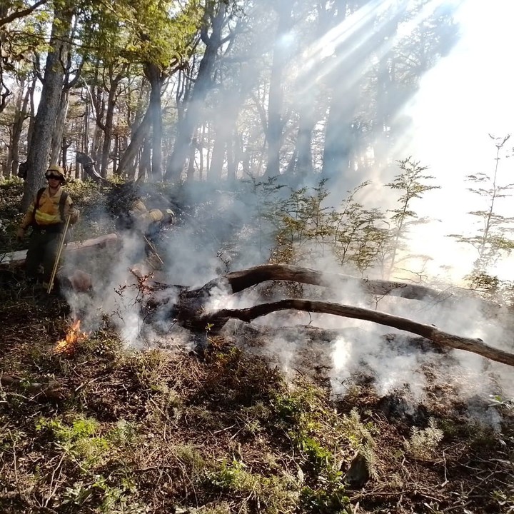 Lograron controlar los incendios en los parques nacionales Los Alerces y Nahuel Huapi. Foto SNMF