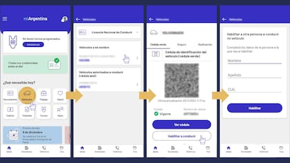 La autorización se tramita a través de MI Argentina