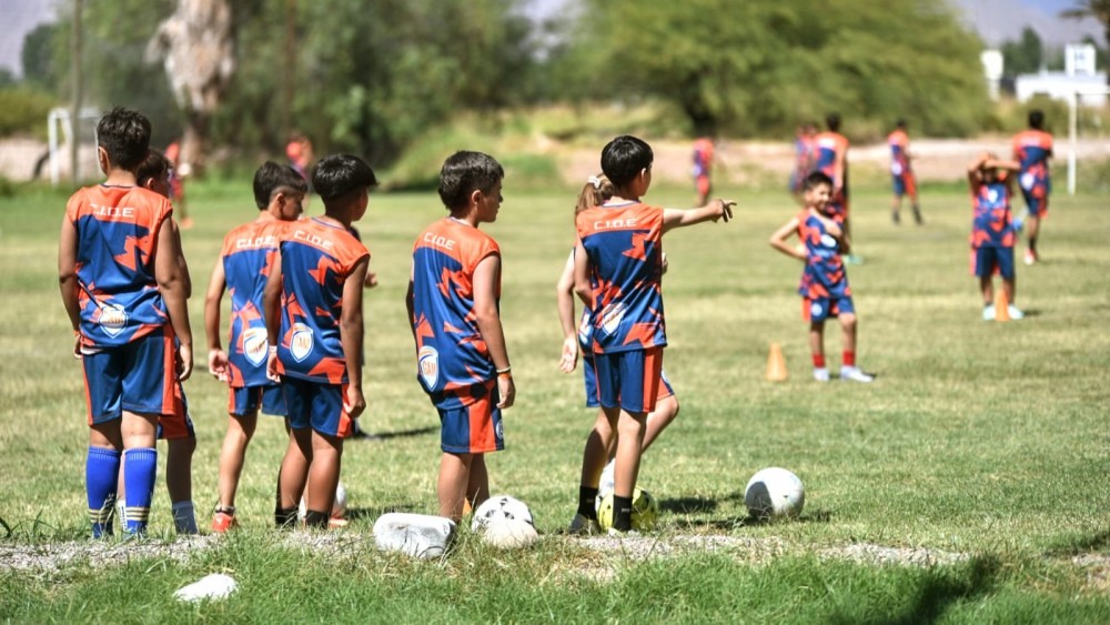 61991f9efaab696b545d5009bfaaee71_XL