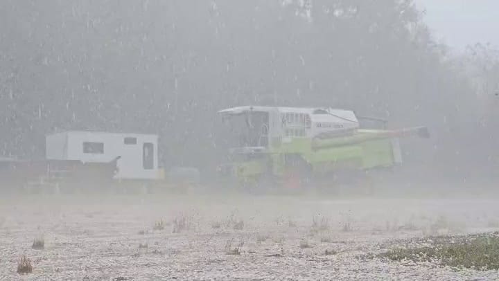El fuerte temporal afectó los cultivos