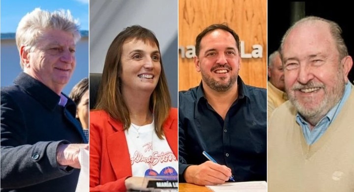 Ziliotto, "Luchy" Alonso, Di Napoli y Verna, los rostros de la interna en el PJ de La Pampa.