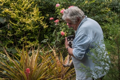 Con Manuela, su perra de 19 años, en su casa en Montevideo el 12 de diciembre de 2016