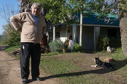 En el jardín de su casa en las afueras de Montevideo, el 9 de julio de 2014