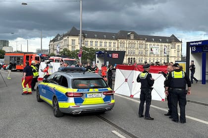 Policías en la estación de trenes de Hamburgo. (Photo by Steven Hutchings / dpa / AFP)