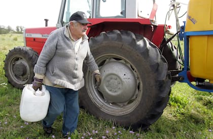 Trabajando en su chacra ubicada en Rincón del Cerro, en la periferia de Montevideo, el 28 de octubre de 2009