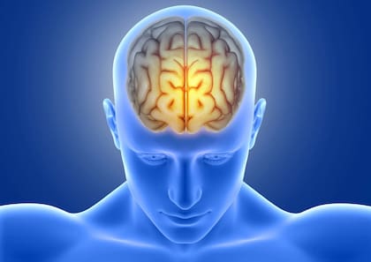 El entrenamiento constante es clave para la estimulación cognitiva, mejorar la memoria y potenciar el rendimiento mental
